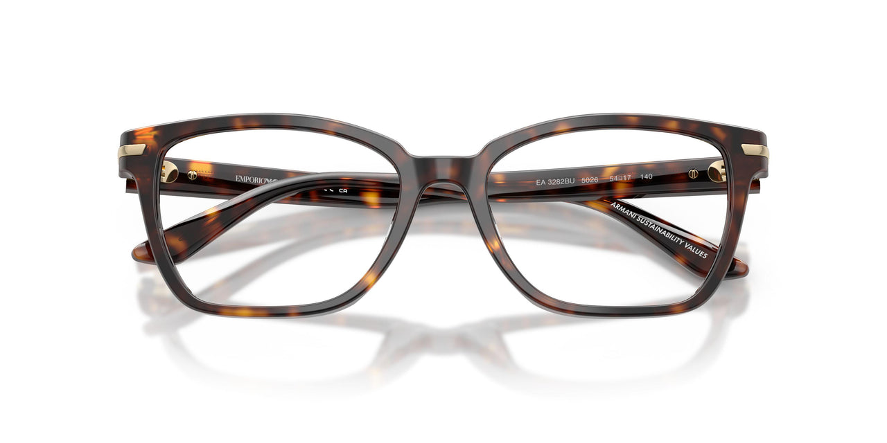 5026 - Tortoise