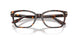 5026 - Tortoise