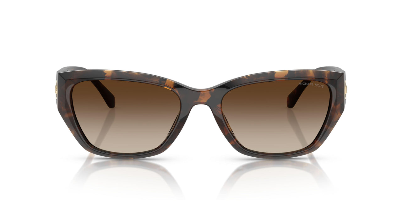 300613 - Tortoise - Smoke Gradient