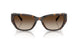 300613 - Tortoise - Smoke Gradient
