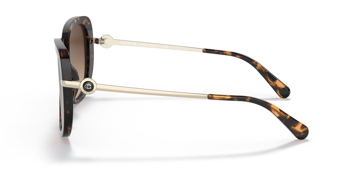 512074 - Havana - Dark Brown Gradient
