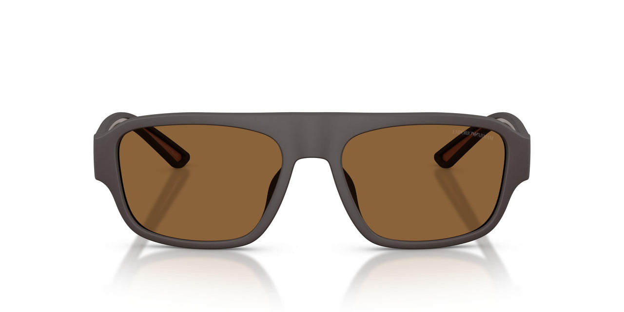 618673 - Brown - Brown