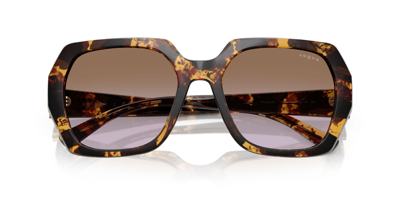 317968 - Tortoise - Violet Gradient Brown