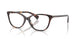 5003 - Tortoise