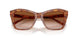 511413 - Brown - Brown Gradient