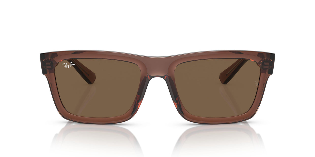 667873 - Brown - Dark Brown
