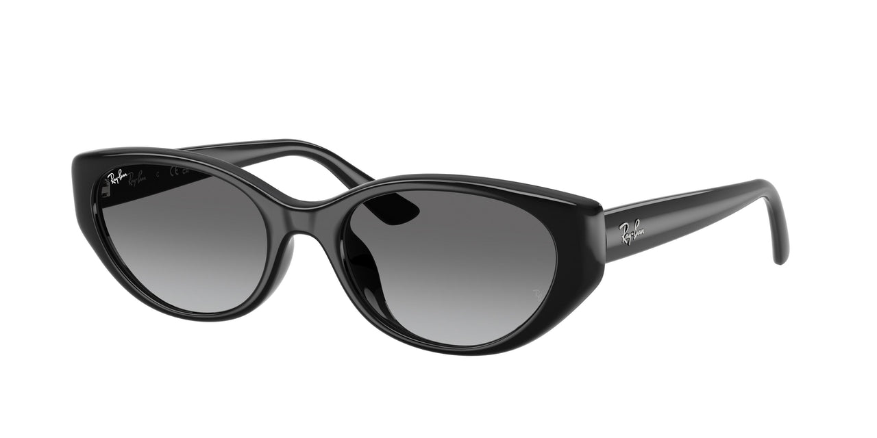 Ray-Ban 4457D Sunglasses