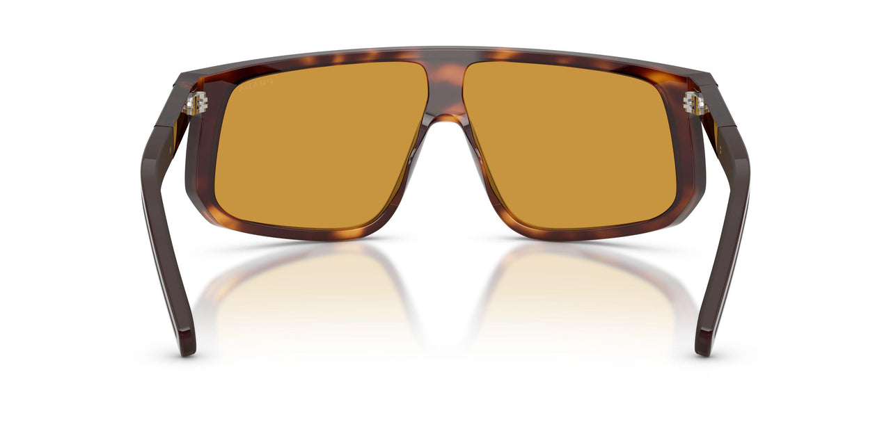 15W50P - Tortoise - Dark Honey