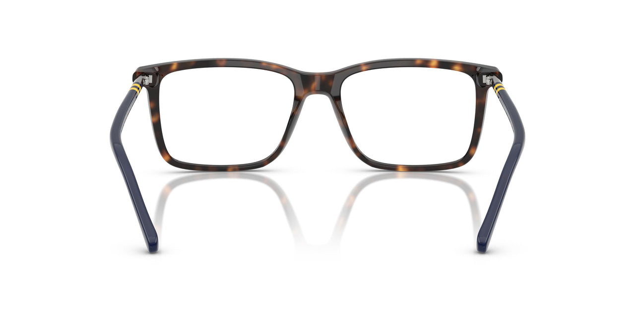 5003 - Tortoise