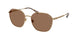 Polo 3160 Sunglasses