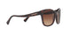 512013 - Havana - Brown Gradient