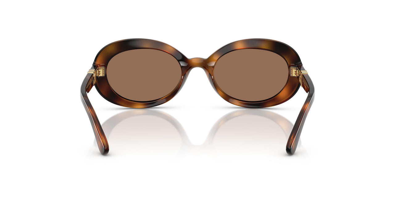 502/73 - Tortoise - Dark Brown