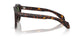 30029A - Tortoise - Dark Green Polar