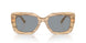 610687 - Brown - Acqua Green