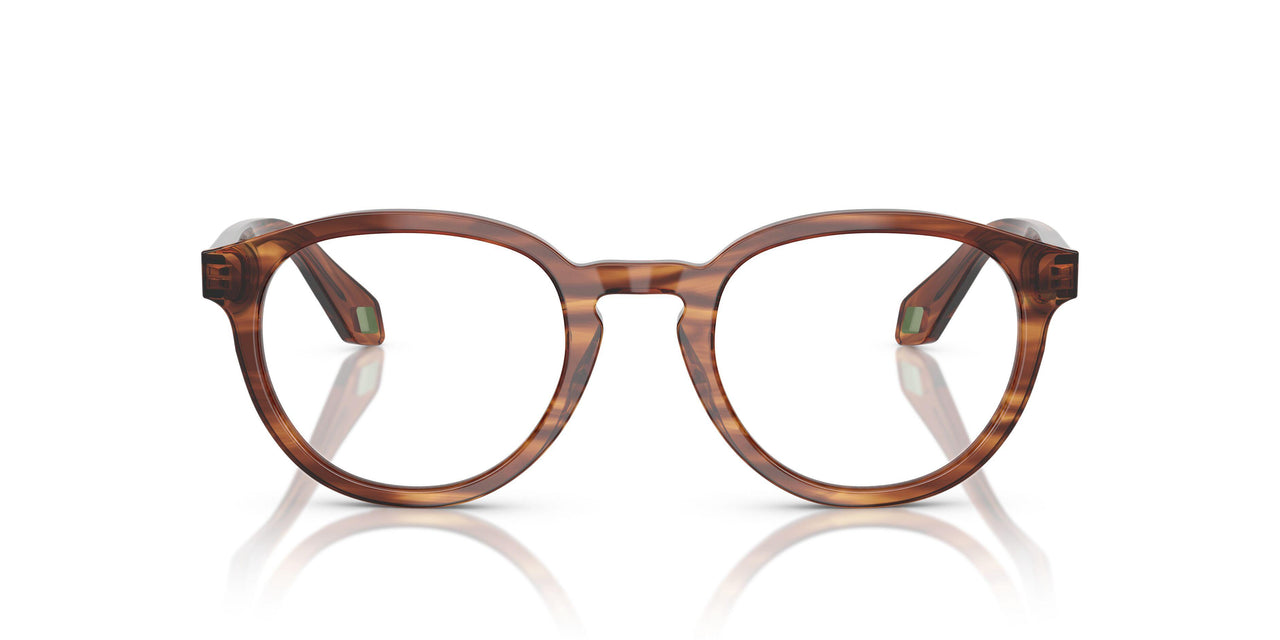 6162 - Tortoise
