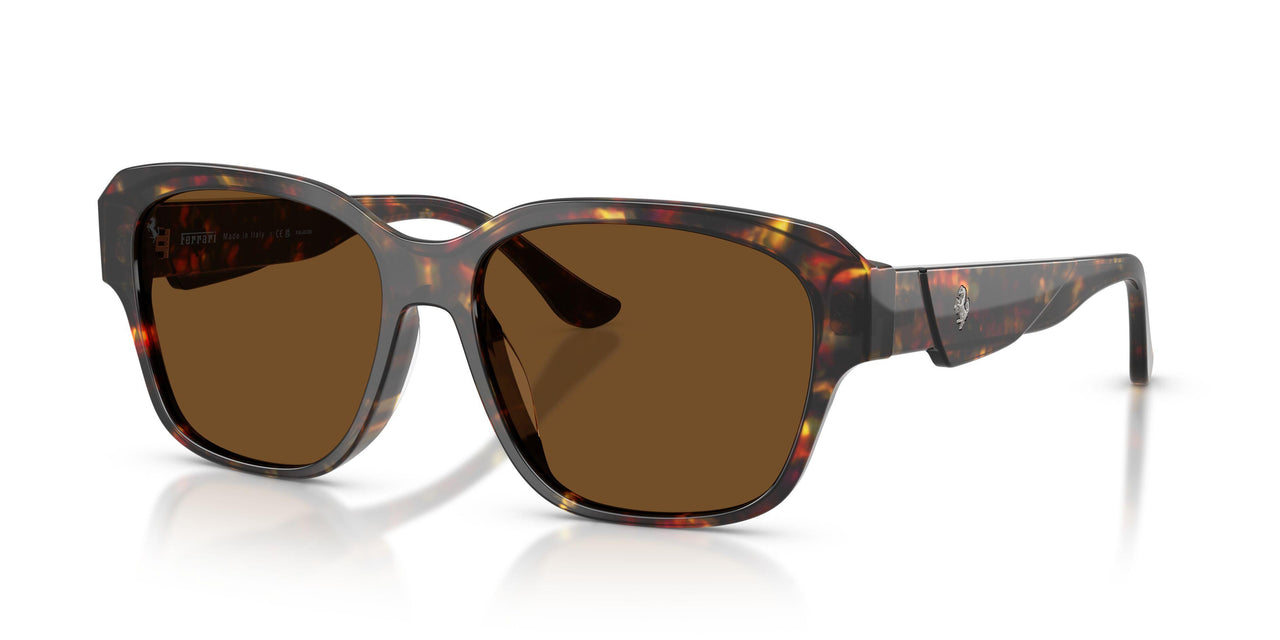 731/57 - Tortoise - Brown Polar