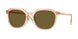 551883 - Brown - Dark Brown