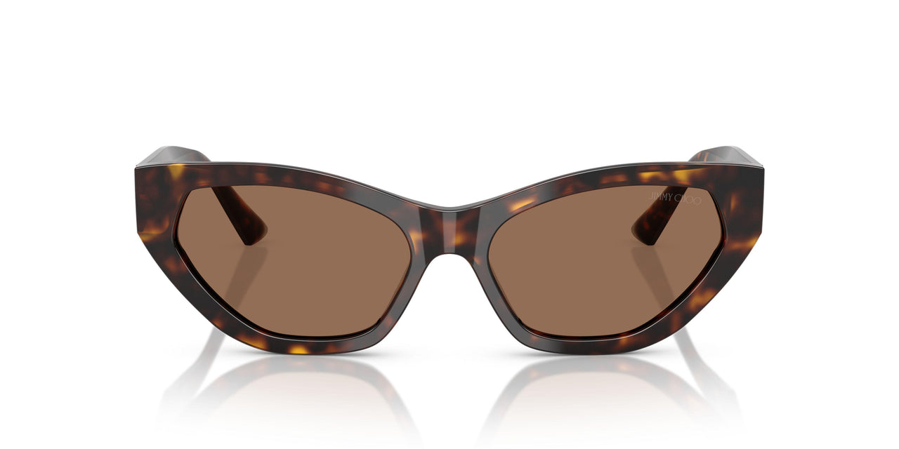 500273 - Tortoise - Dark Brown