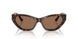 500273 - Tortoise - Dark Brown