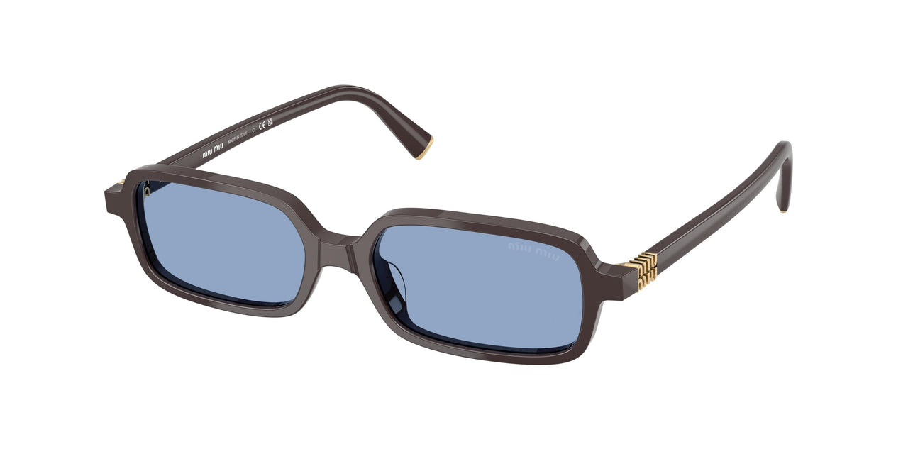 22C60O - Brown - Light Blue