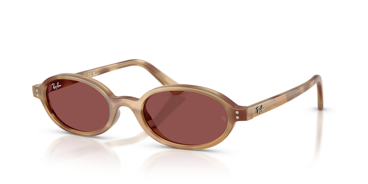685675 - Tortoise - Dark Violet
