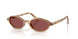 685675 - Tortoise - Dark Violet