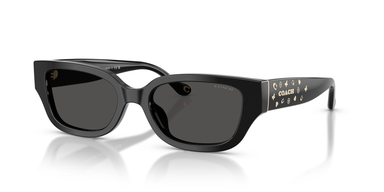 500287 - Black - Grey Solid