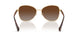 9484T5 - Brown - Polar Brown Gradient