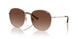 9005T5 - Gold - Brown Gradient Polar