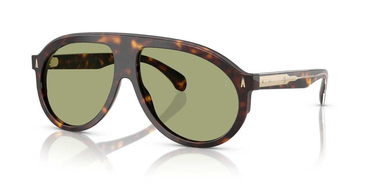 300282 - Tortoise - Green
