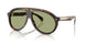 300282 - Tortoise - Green