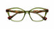 GRBR - Green Brown