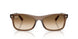 664051 - Brown - Clear Gradient Brown