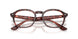 8488 - Tortoise - Clear