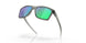 910010 - Grey - Prizm Jade Polarized