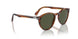 115731 - Brown - Green