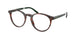 Polo 2297 Eyeglasses
