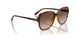 W65613 - Brown - Gradient Dark Brown