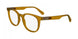 CALVIN KLEIN JEANS CKJ24613 Eyeglasses