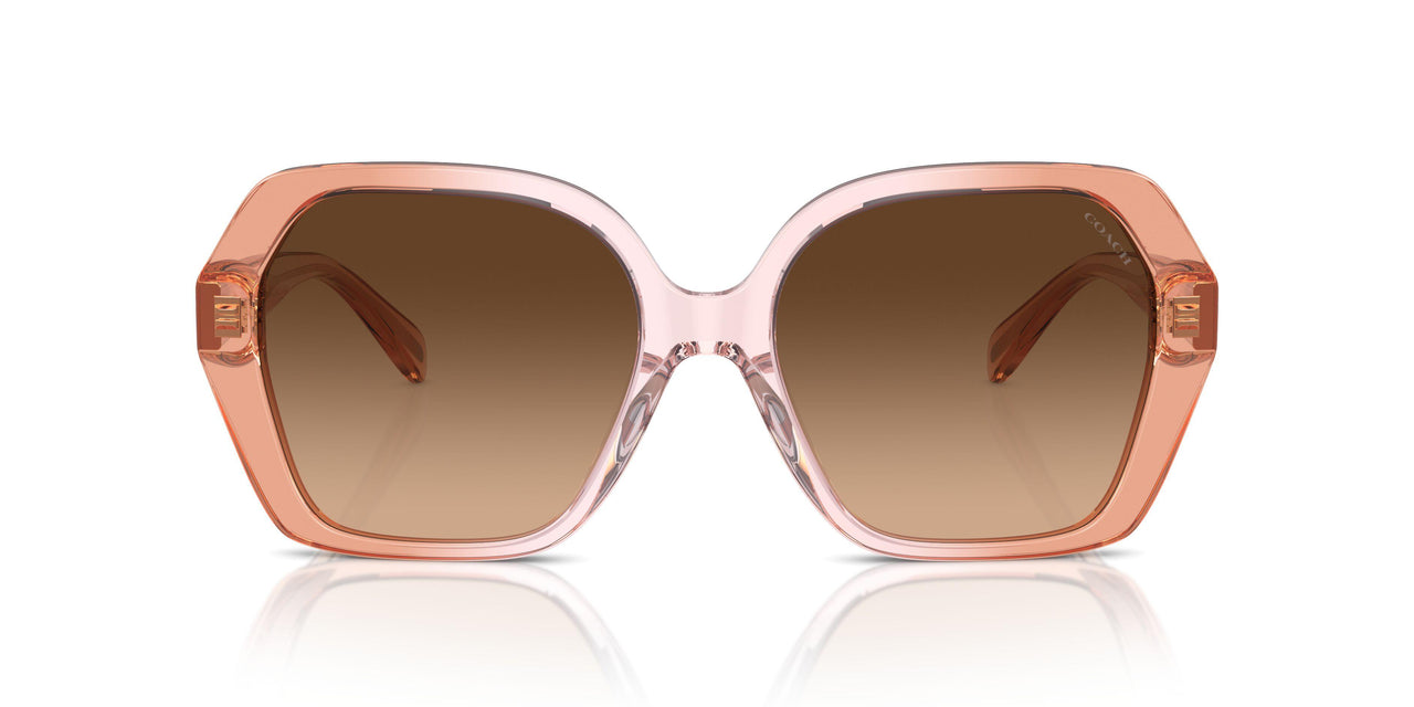 581274 - Brown - Brown Gradient