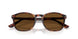 24/57 - Tortoise - Polarized Brown