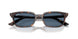 135980 - Tortoise - Dark Blue