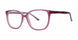 Modern Plastics I HADLEY Eyeglasses