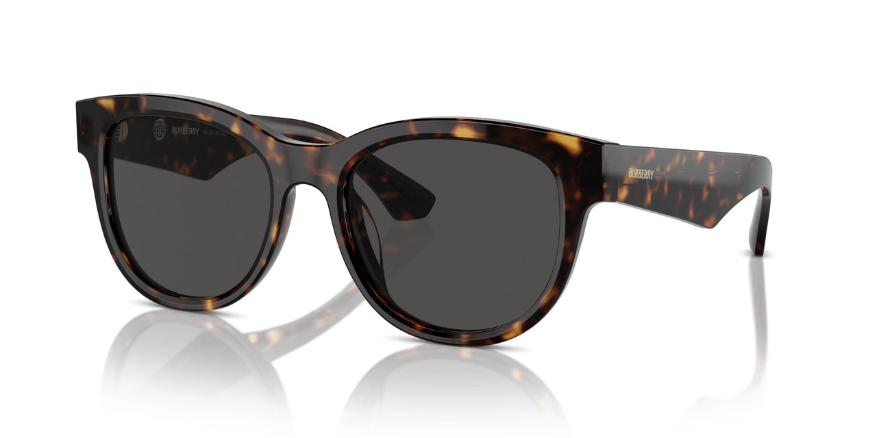 300287 - Brown - Dark Grey