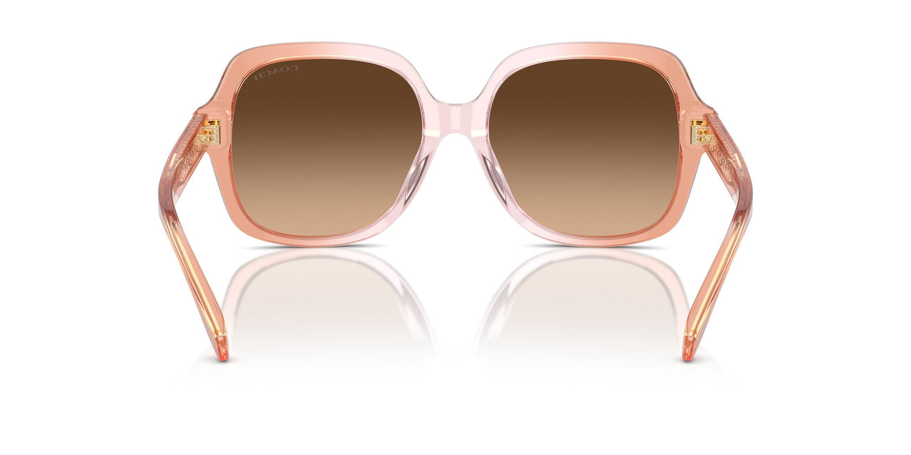 581274 - Brown - Brown Gradient
