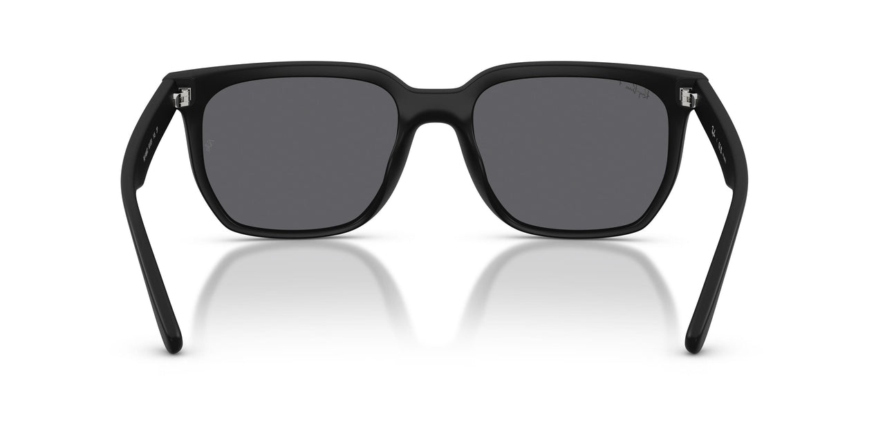 601S81 - Black - Polarized Grey