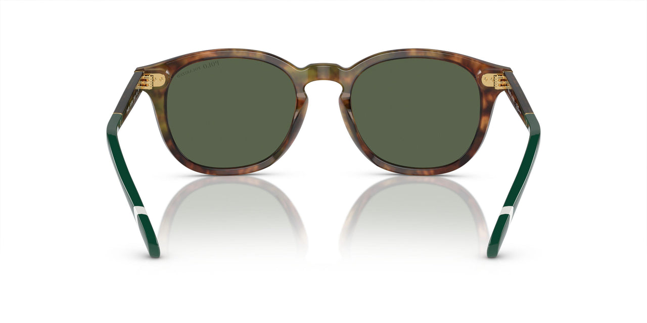 50179A - Tortoise - Bottle Green Polarized