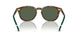 50179A - Tortoise - Bottle Green Polarized