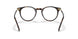 W656 - Brown