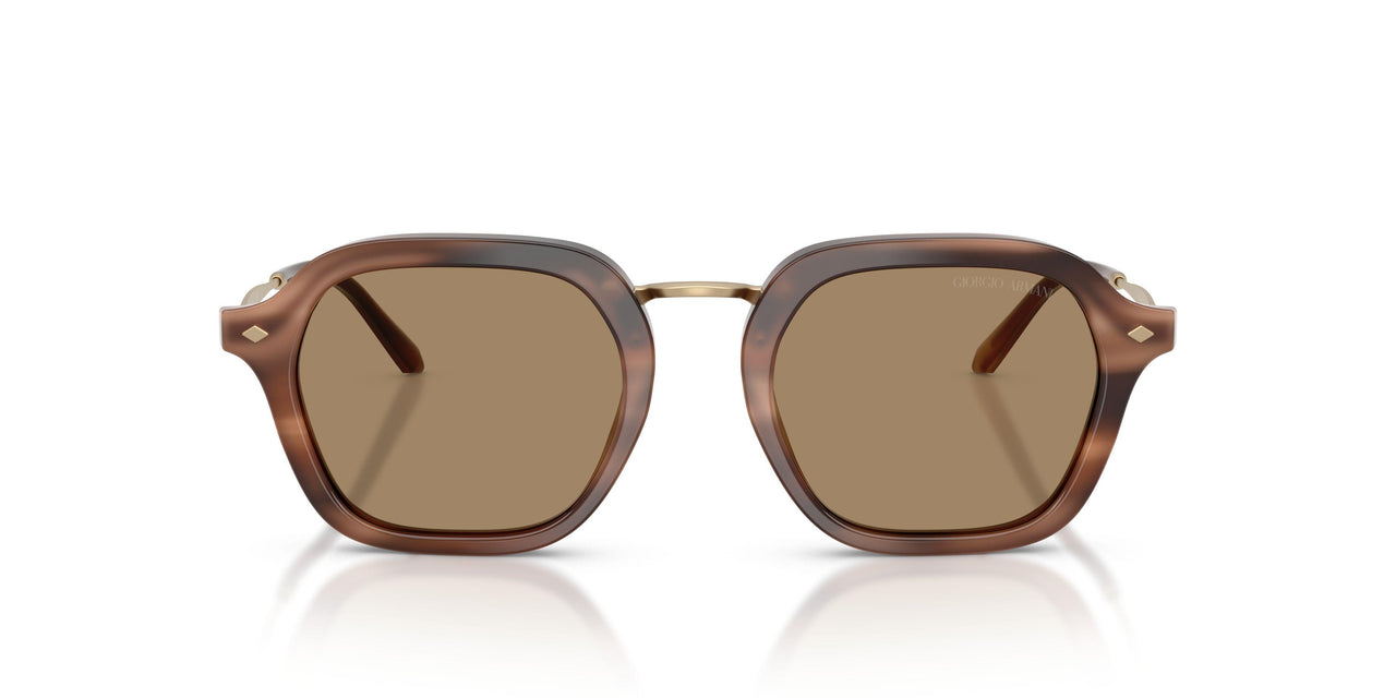 646573 - Brown - Dark Brown